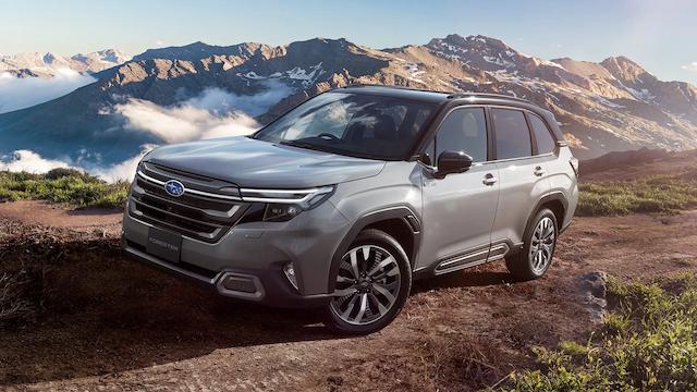 フォレスターの車中泊に合うニトリ以外のおすすめアイテム